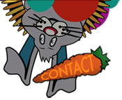 Contact The Backhouse
